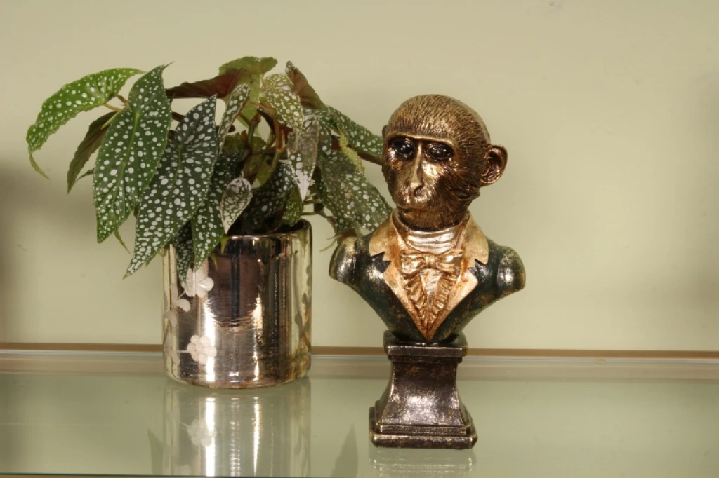 Busto de mono - verde - 25 cm