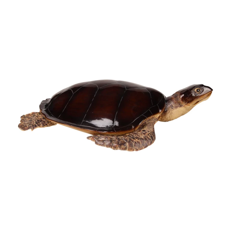 Escultura de tortuga - marrón - 88 x 23 cm