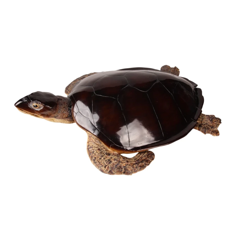 Escultura de tortuga - marrón - 88 x 23 cm