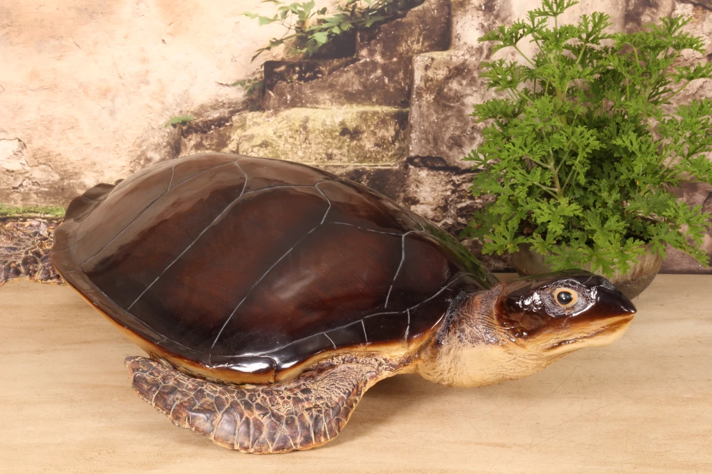 Escultura de tortuga - marrón - 88 x 23 cm