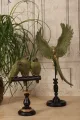 Papegaai op Stok 52,5 cm - Groen - Resin