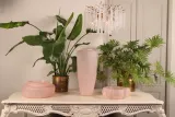 Schaal Lotus 40 cm - Roze - Glas