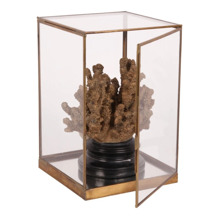 Caja de exhibición - dorado - latón y vidrio - 40 cm - 1 unidad
